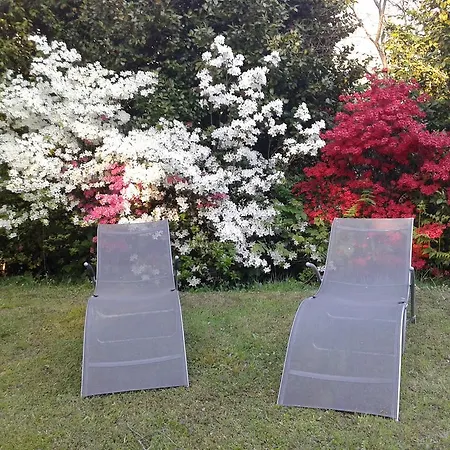 Bed & Breakfast Il Picchio