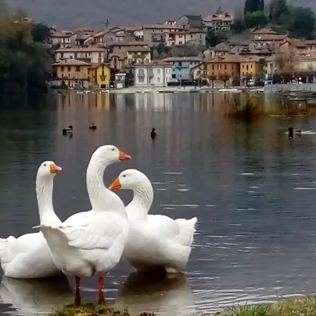 Bed & Breakfast Il Picchio *