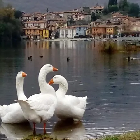 Alojamento de Acomodação e Pequeno-almoço Il Picchio 3*