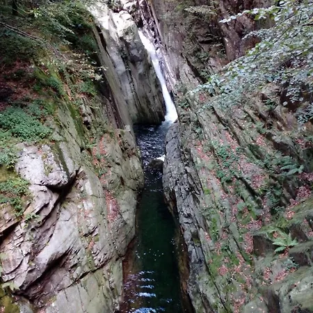 Alojamento de Acomodação e Pequeno-almoço Il Picchio
