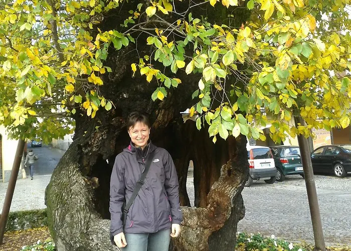 Il Picchio メルゴッツォ