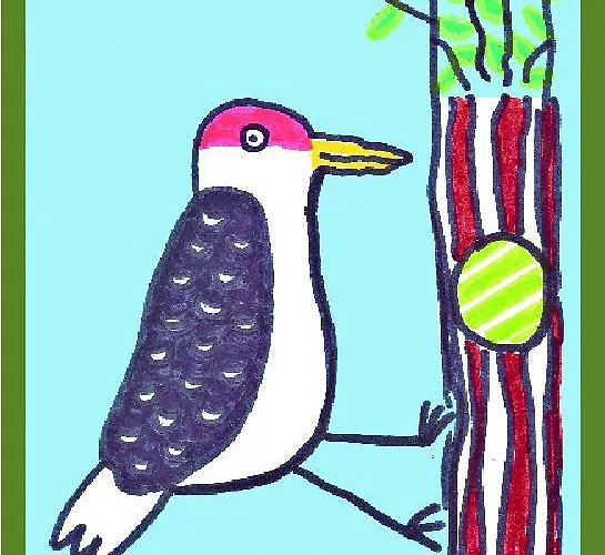 Alojamento de Acomodação e Pequeno-almoço Il Picchio Mergozzo