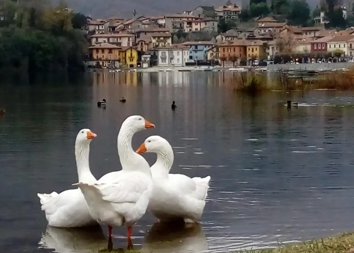 Bed & Breakfast Il Picchio 3*