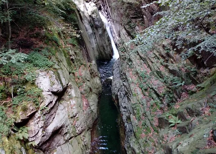 Alojamento de Acomodação e Pequeno-almoço Il Picchio