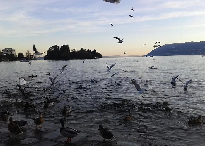 Alojamento de Acomodação e Pequeno-almoço Il Picchio